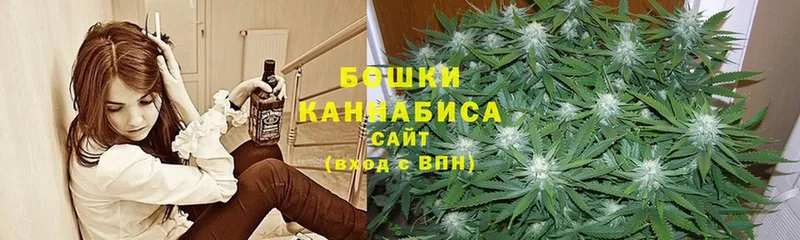 купить наркотики цена  Абинск  Конопля Amnesia 